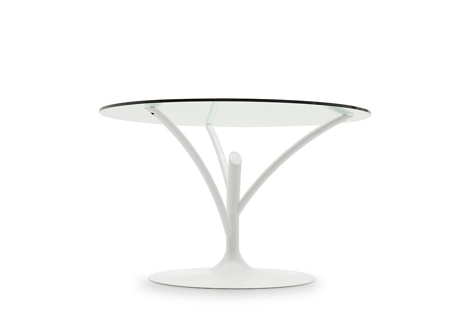 calligaris-round-glass-fixed-table-acacia-cs-4071-v120-italy_03.jpg