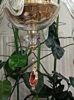 IMG_20260823_203244