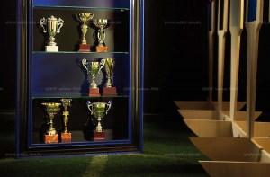 Фрагмент витрины-библиотеки Trophy с футбольным дизайном, производство Италия